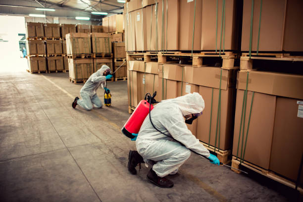 Best Wasp Removal Services  in Lake Dalecarlia, IN