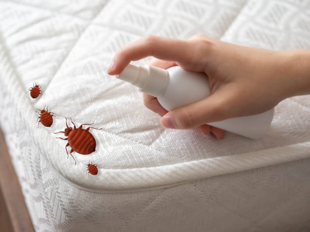 Best Residential Pest Control  in Lake Dalecarlia, IN