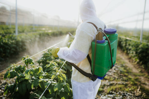 Best Ant Control Services  in Lake Dalecarlia, IN